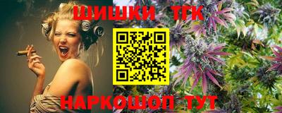 МДПВ Гатчина