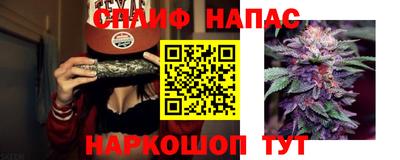 СК Гай