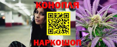 spice Гусев