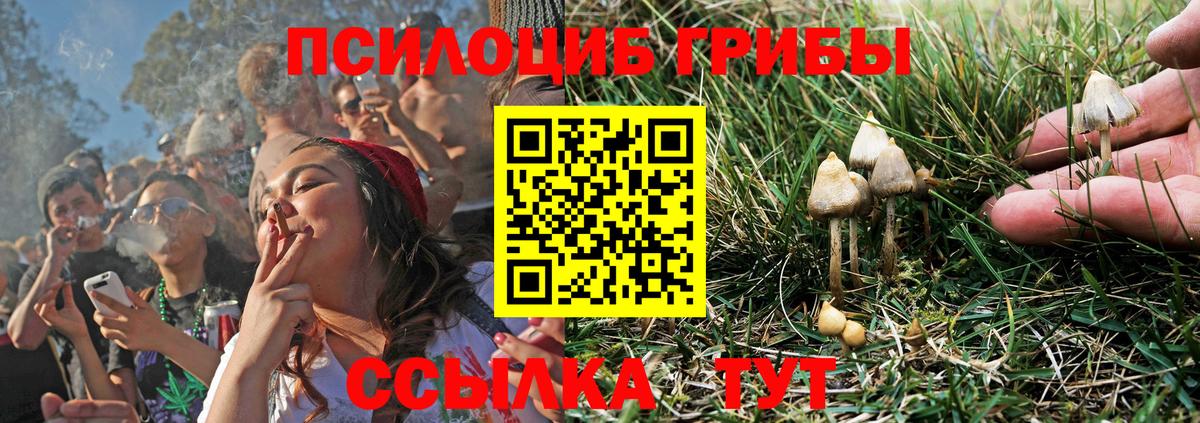 Галлюциногенные грибы мицелий  Псилоцибиновые грибы MAGIC MUSHROOMS  где купить наркоту  Нефтекумск  Вход с VPN 