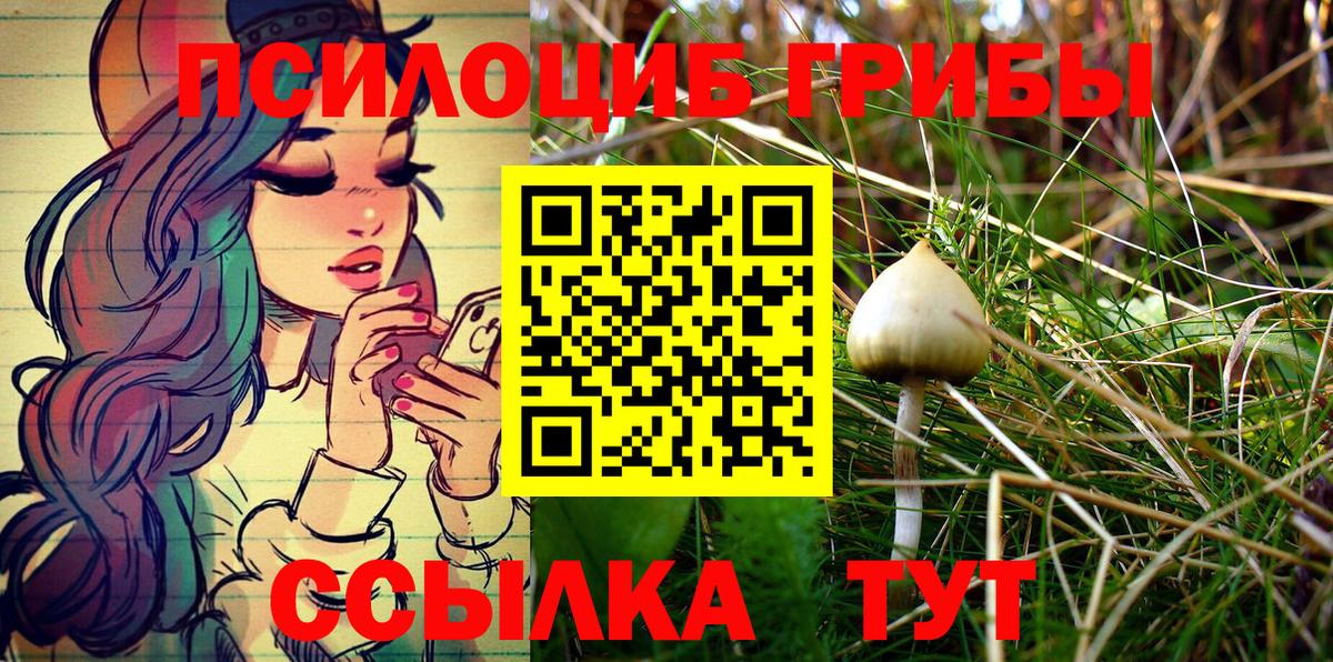 Галлюциногенные грибы Cubensis Нефтекумск